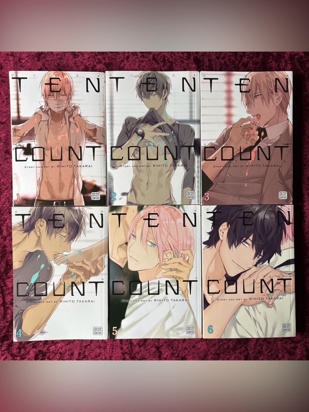 Ten Count Complete Manga Volumes 1-6